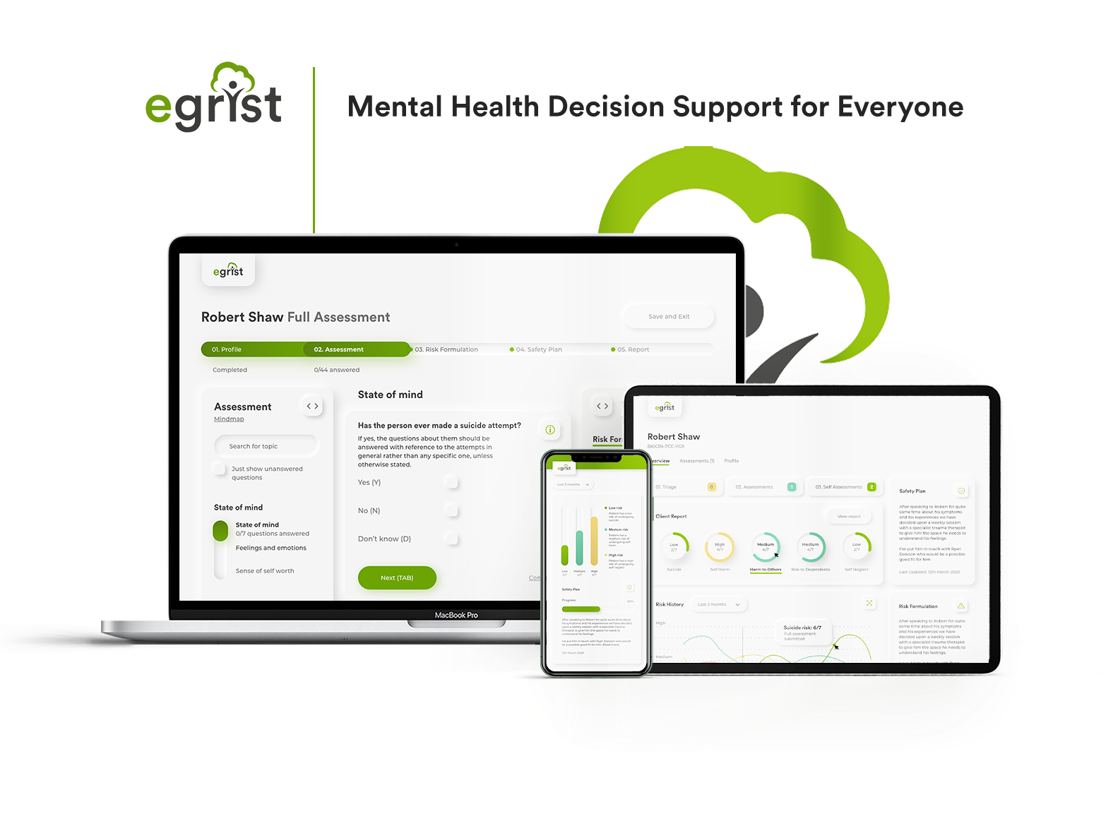 eGRiST on a laptop, tablet and phone: a full assessment, the client report and the dashboard