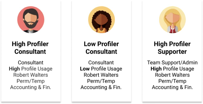 Three personas — high profiler consultant, low profiler consultant, high profiler supporter